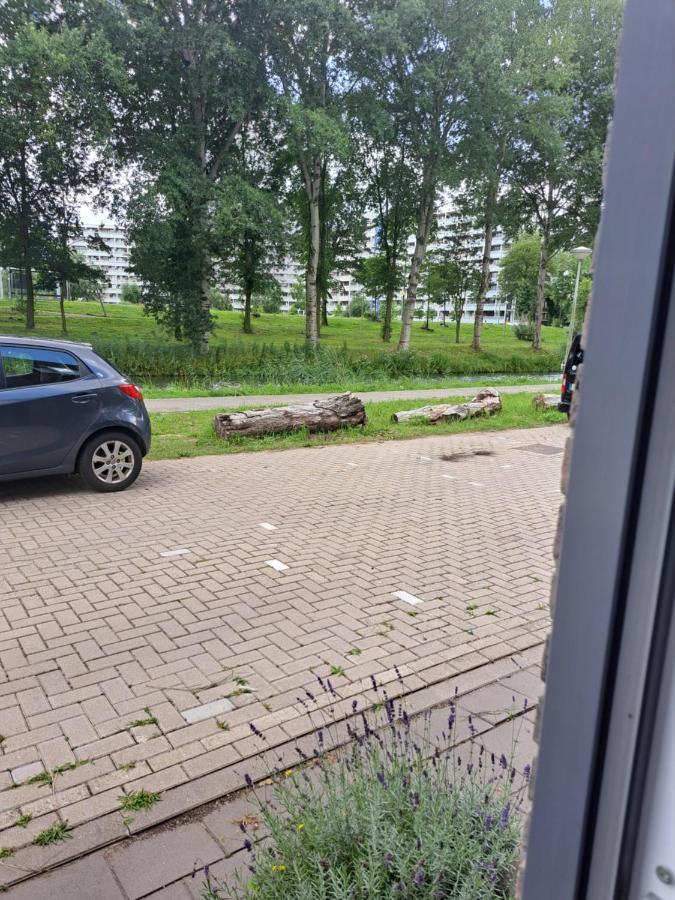 Dubbelink 3A Leilighet Amsterdam Eksteriør bilde