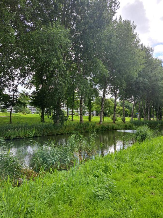 Dubbelink 3A Leilighet Amsterdam Eksteriør bilde